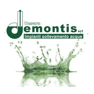 DEMONTIS CESARE SRL